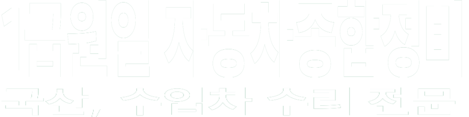 1급원일 자동차종합정비 화이트 로고 이미지